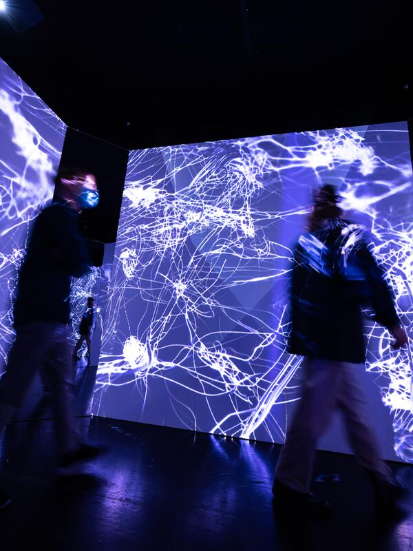 © Christian Schneider