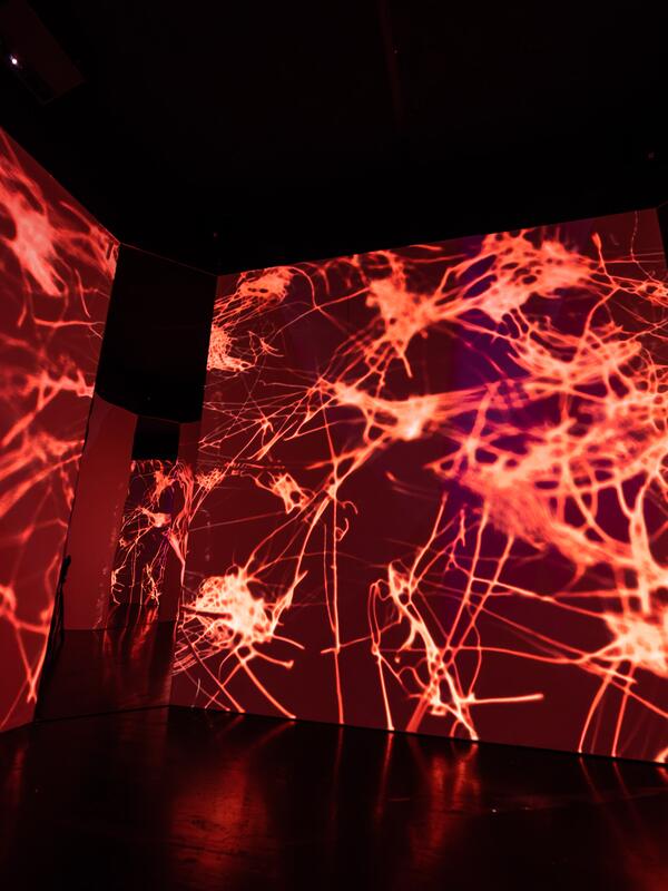 Mozart Contained! 2 | © Christian Schneider