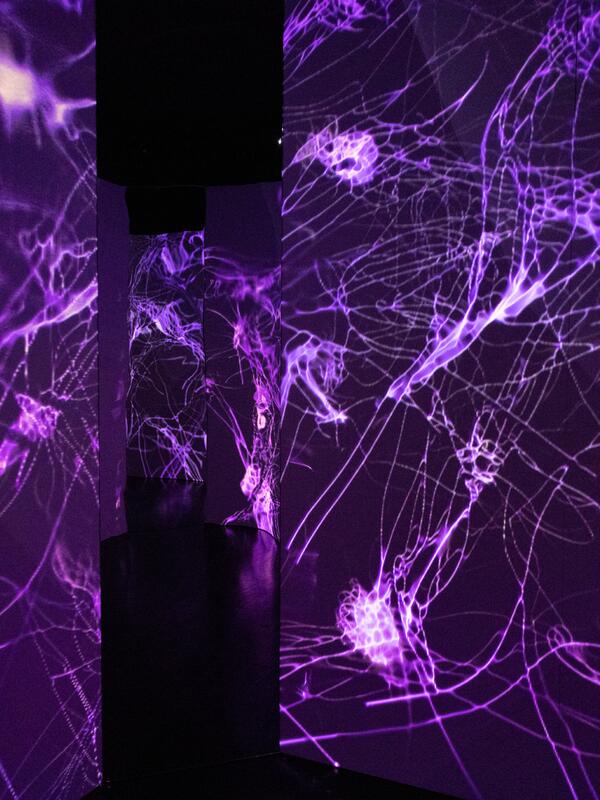 Mozart Contained! 2 | © Benedikt Schemmer