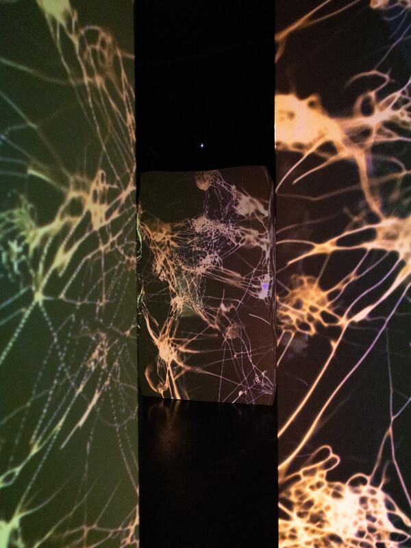 Mozart Contained! 2 | © Benedikt Schemmer