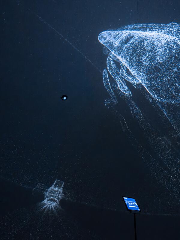 © Christian Schneider