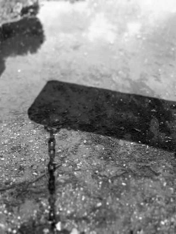 © Alek Niemiro / Laura Trilsam