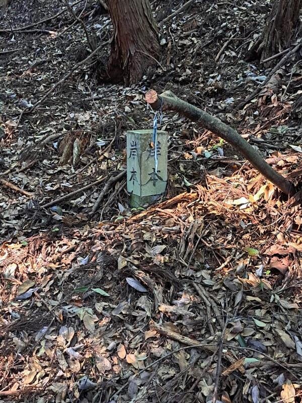 © Johannes Brömmel/ Jakob Schulte