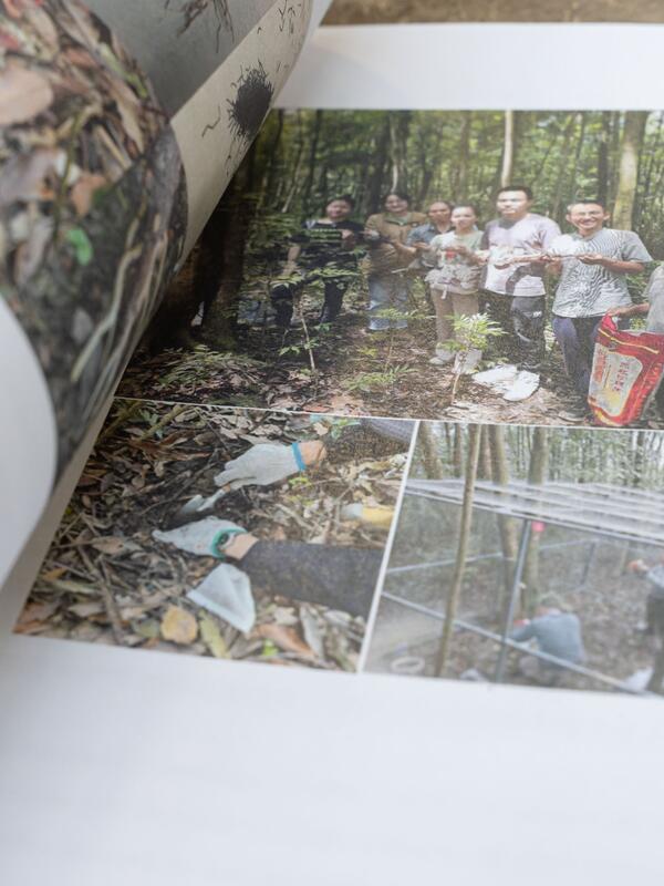 Ausstellung Art of Change - Change of Arts | © Michael Klimt