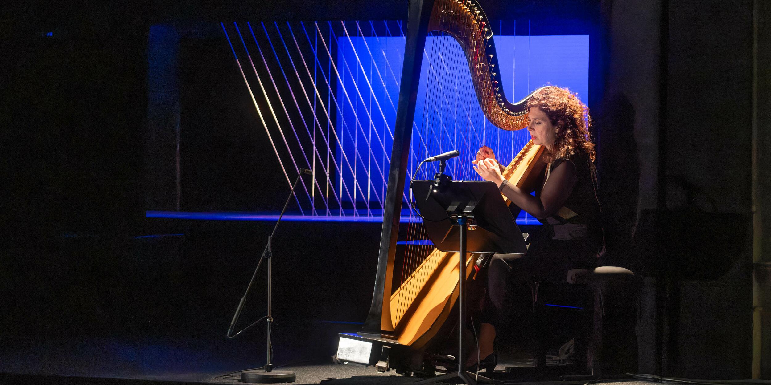 Musikerin mit Harfe, dahinter Fäden über eine Bühne gespannt | © Christian Schneider