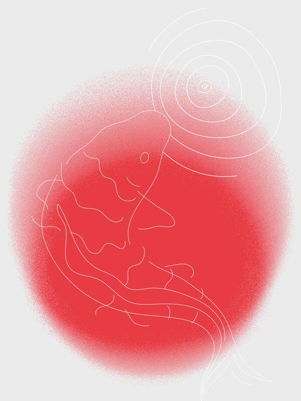 Illustration eines Fisches