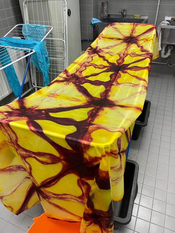 2023_STORIES_Martin Rohal I PROJRKT  | © Martin Rohal