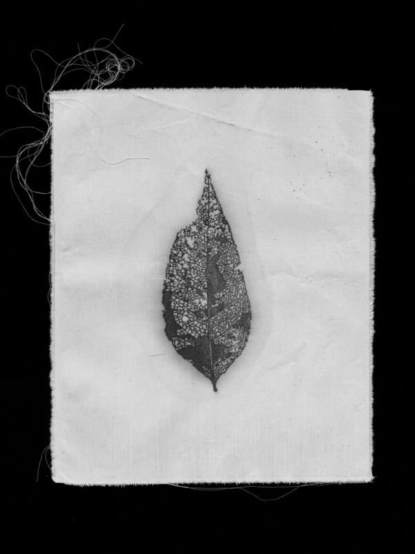 2023_STORIES_Anna Ernst I GESCHICHTE (M)EINES BLATTES  | © Anna Ernst