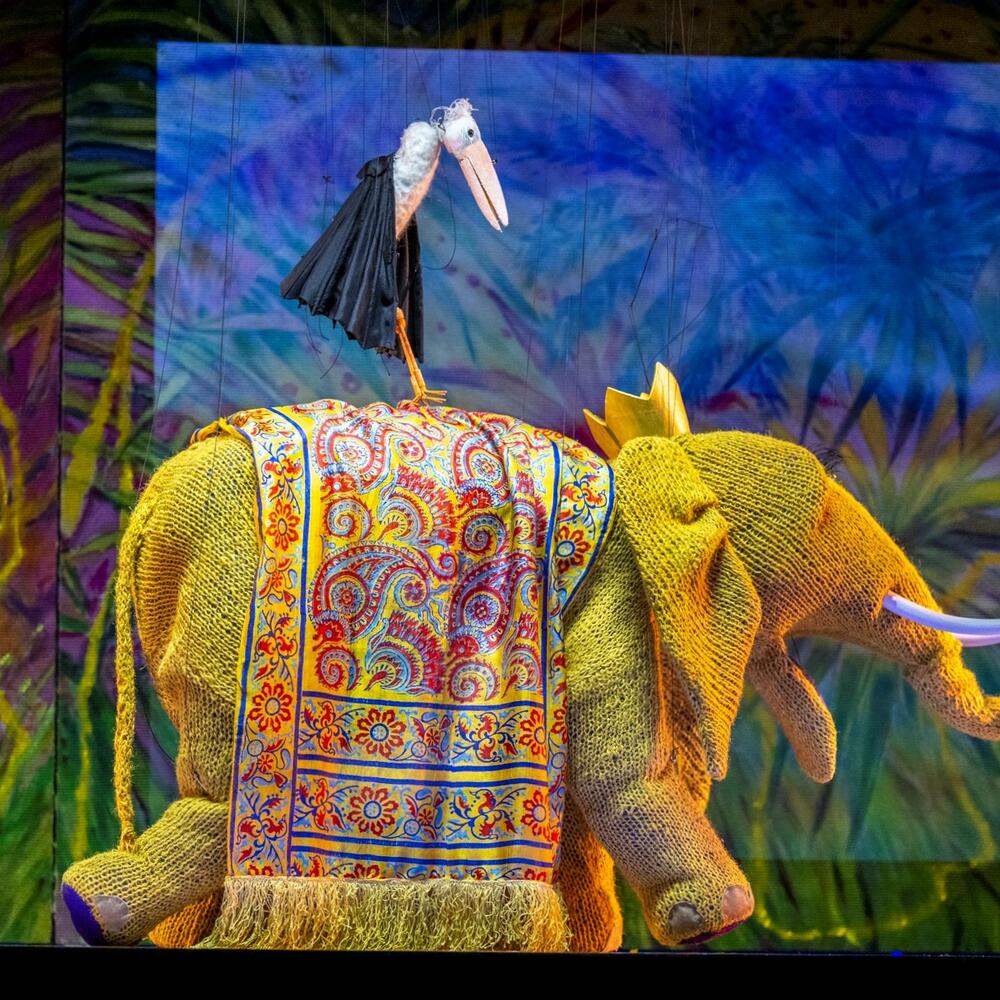 Elefant und Rabe | © Bernhard Müller