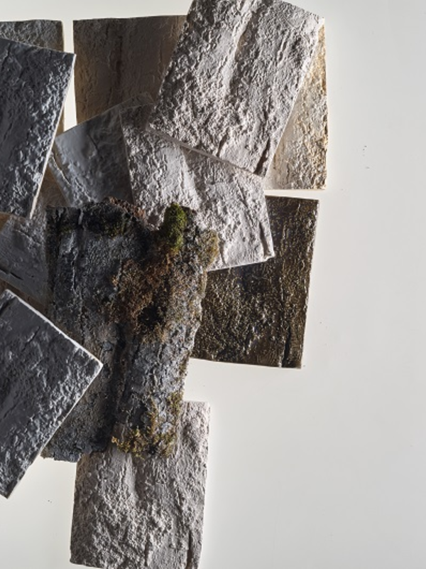 Fliesen in Naturoptik | © Franca Tildach